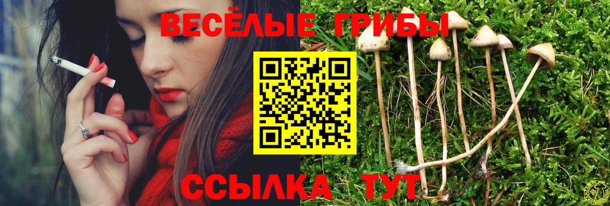 Псилоцибиновые грибы мицелий  Галлюциногенные грибы MAGIC MUSHROOMS  Вход с VPN  Комсомольск-на-Амуре 