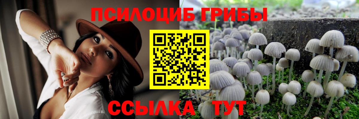 Псилоцибиновые грибы Magic Shrooms Комсомольск-на-Амуре